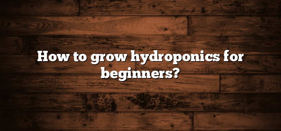 How to grow hydroponics for beginners?