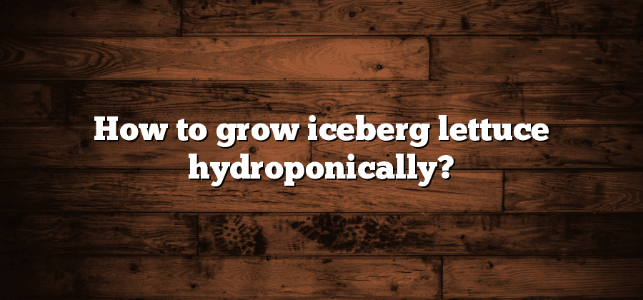 How to grow iceberg lettuce hydroponically?