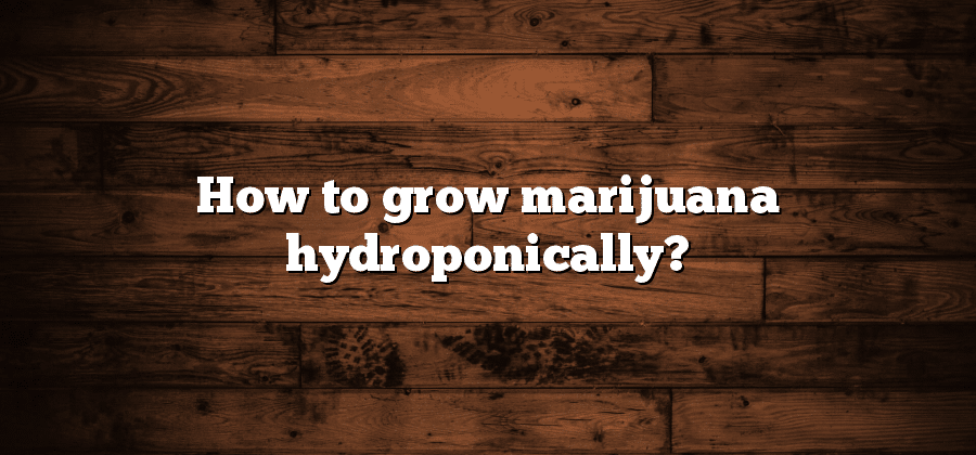 How to grow marijuana hydroponically?
