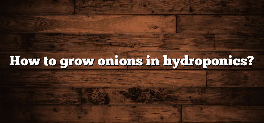 How to grow onions in hydroponics?