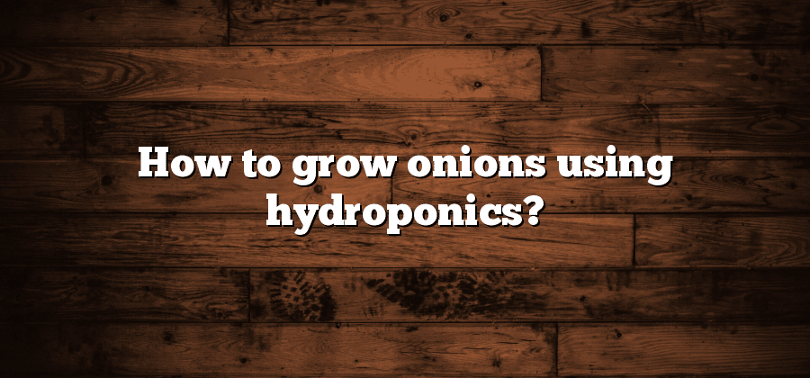 How to grow onions using hydroponics?