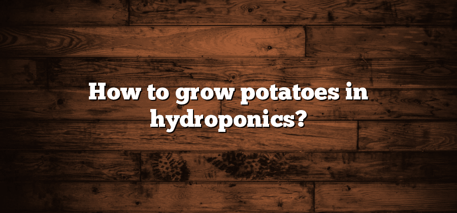 How to grow potatoes in hydroponics?