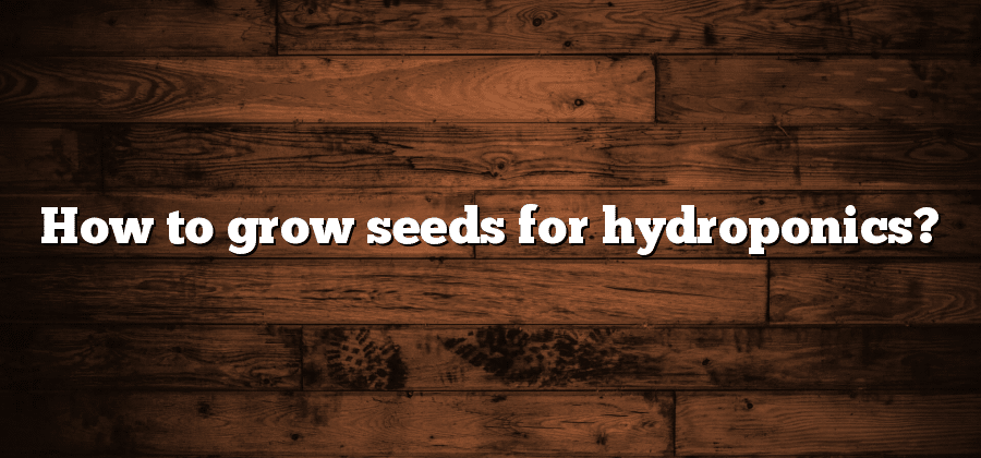 How to grow seeds for hydroponics?