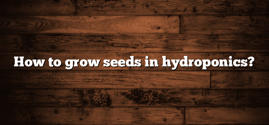 How to grow seeds in hydroponics?