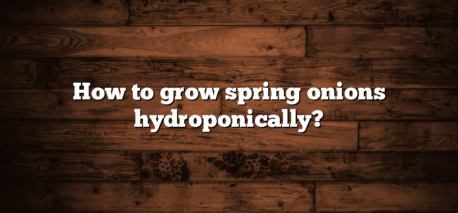 How to grow spring onions hydroponically?