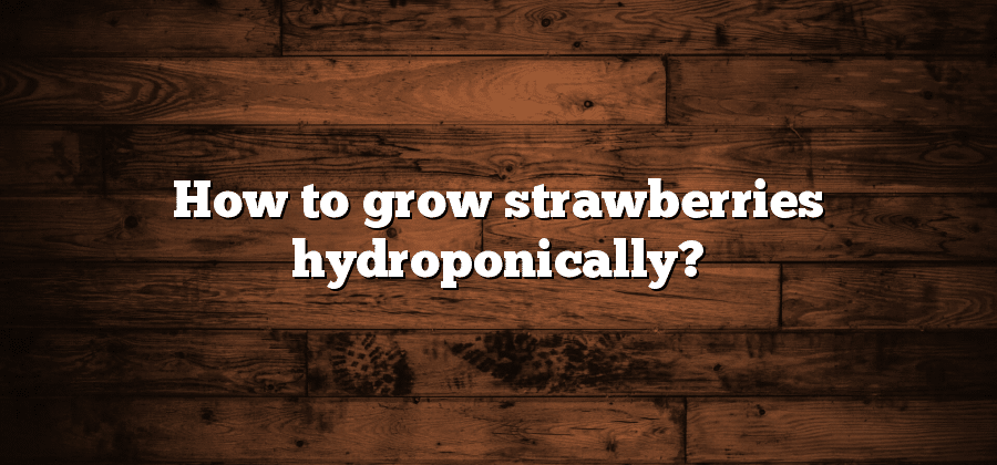 How to grow strawberries hydroponically?