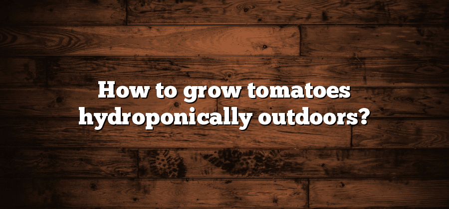 How to grow tomatoes hydroponically outdoors?