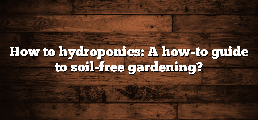 How to hydroponics: A how-to guide to soil-free gardening?