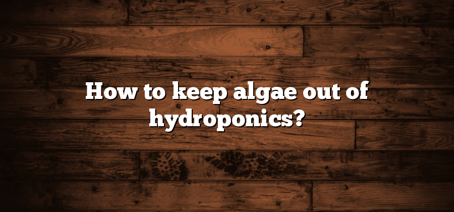 How to keep algae out of hydroponics?