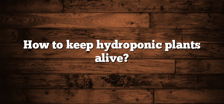 How to keep hydroponic plants alive?