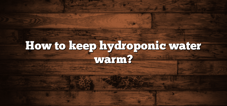 How to keep hydroponic water warm?