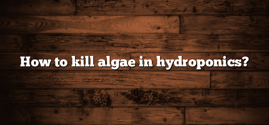 How to kill algae in hydroponics?