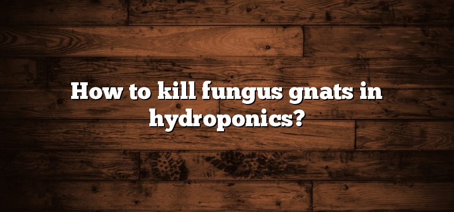 How to kill fungus gnats in hydroponics?