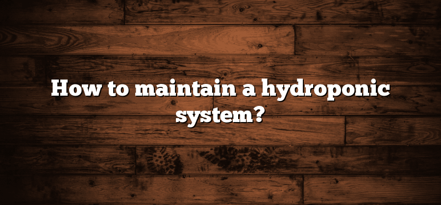 How to maintain a hydroponic system?