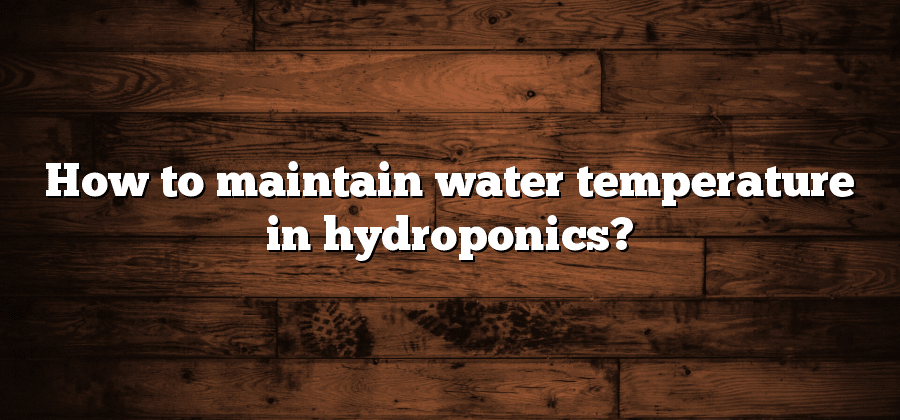 How to maintain water temperature in hydroponics?