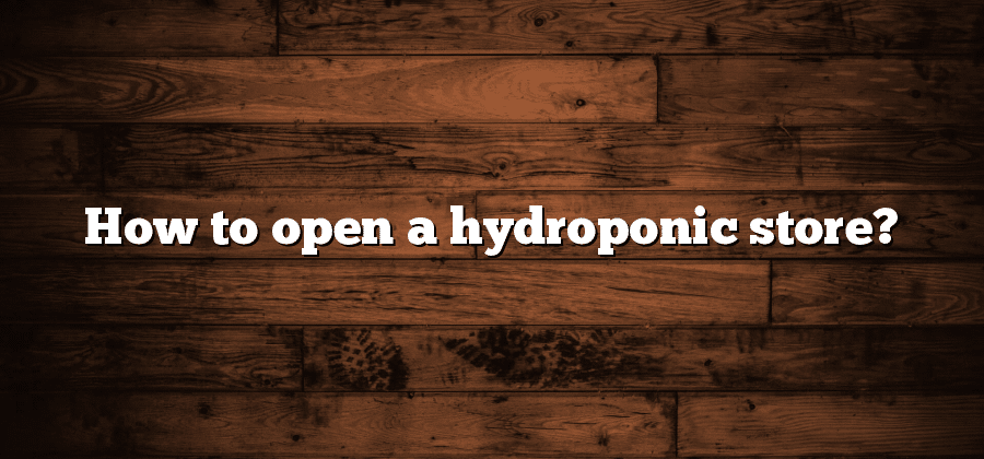 How to open a hydroponic store?