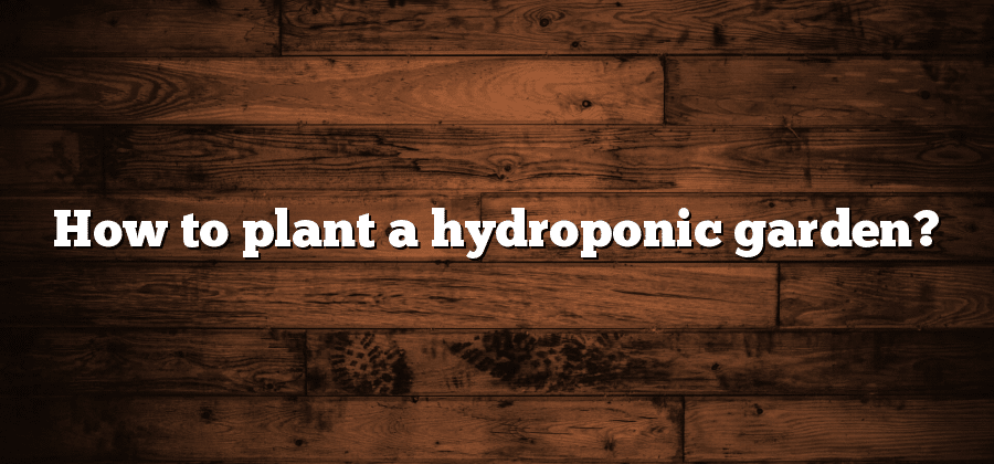 How to plant a hydroponic garden?