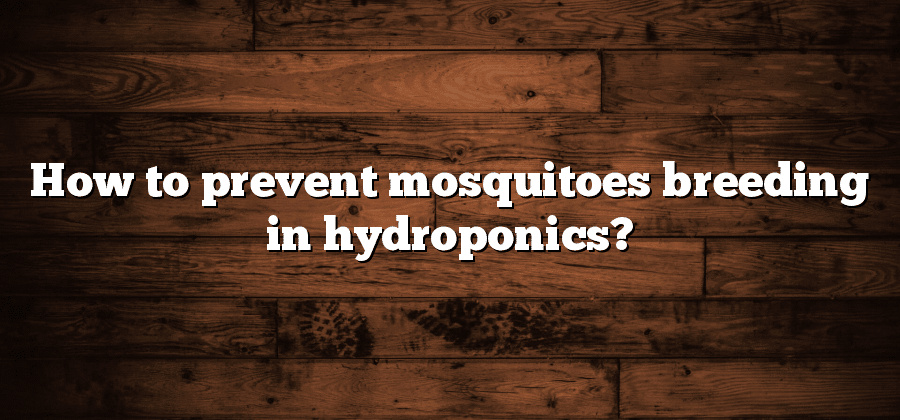 How to prevent mosquitoes breeding in hydroponics?