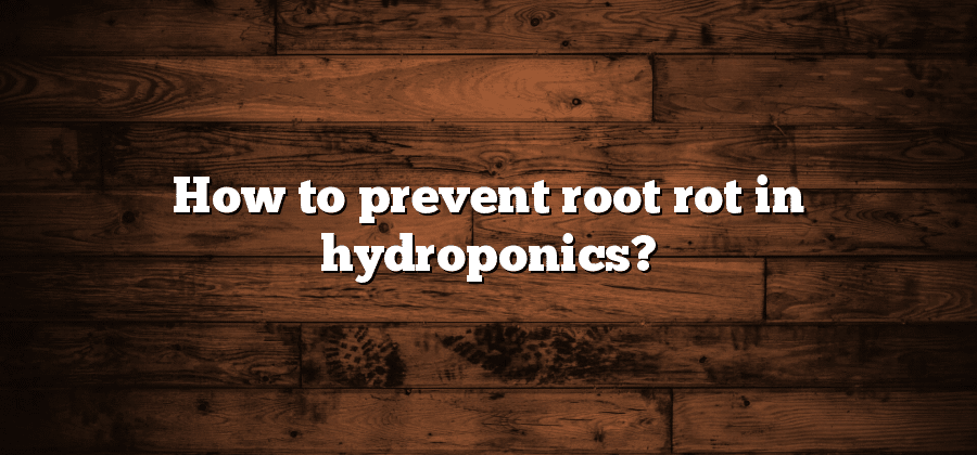 How to prevent root rot in hydroponics?
