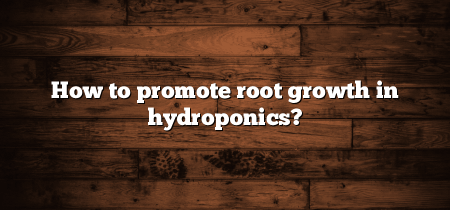 how-to-promote-root-growth-12-steps-with-pictures-wikihow