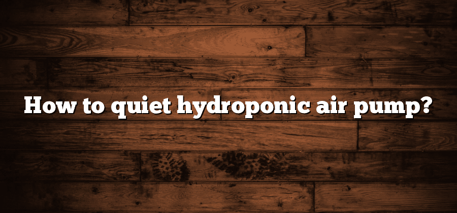 How to quiet hydroponic air pump?
