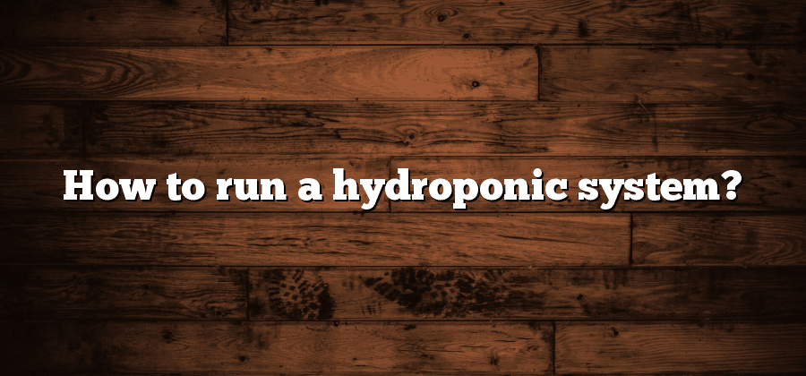 How to run a hydroponic system?