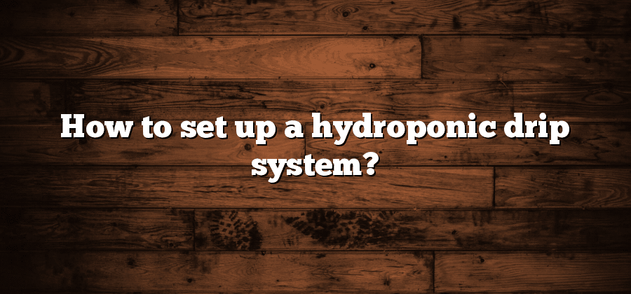 How to set up a hydroponic drip system?