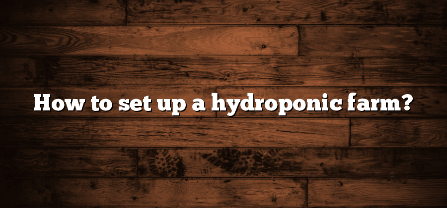 How to set up a hydroponic farm?