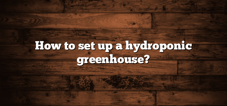 How to set up a hydroponic greenhouse?