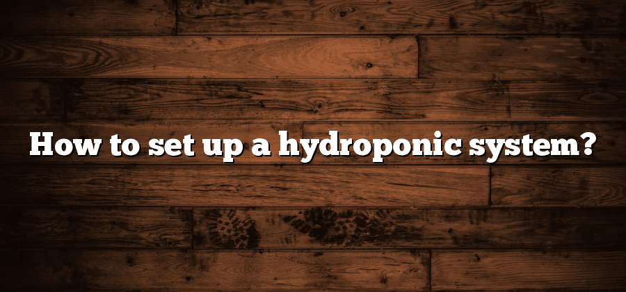 How to set up a hydroponic system?