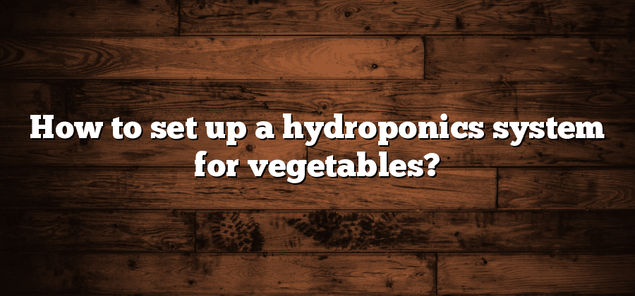 How to set up a hydroponics system for vegetables?