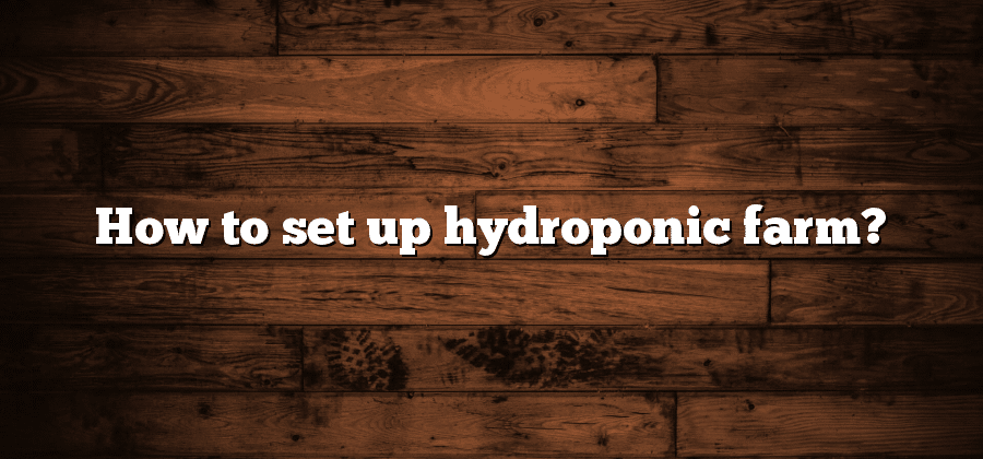 How to set up hydroponic farm?