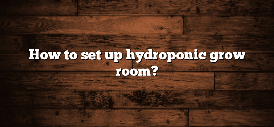 How to set up hydroponic grow room?