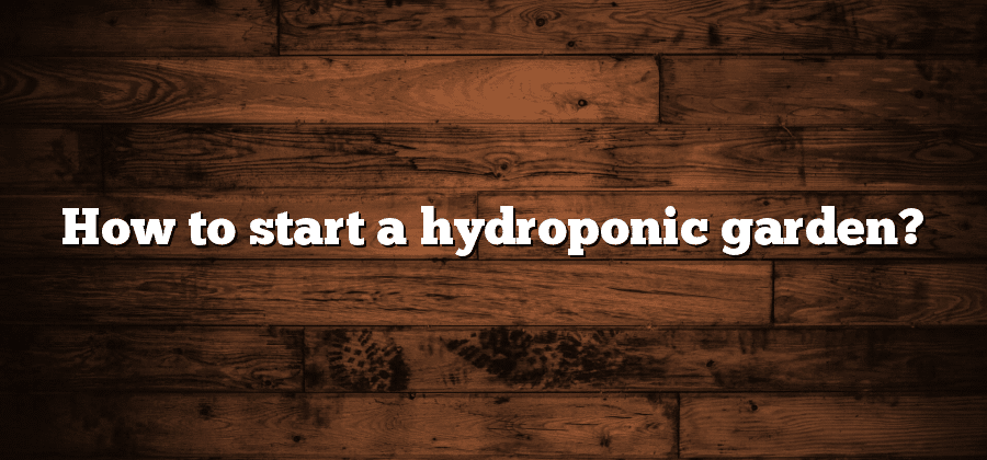 How to start a hydroponic garden?