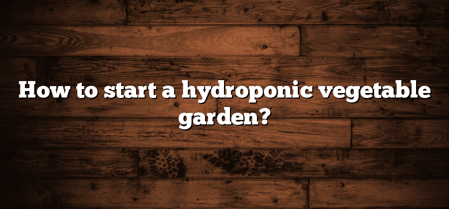 How to start a hydroponic vegetable garden?