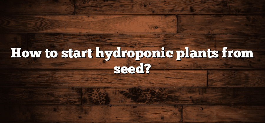 How to start hydroponic plants from seed?