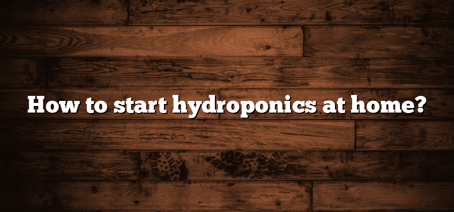 How to start hydroponics at home?