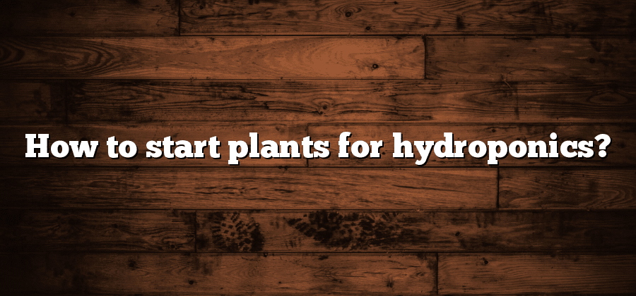 How to start plants for hydroponics?