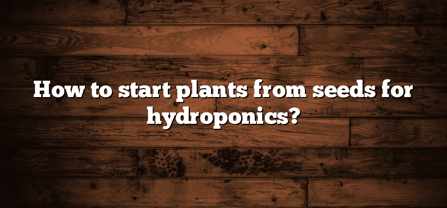 How to start plants from seeds for hydroponics?