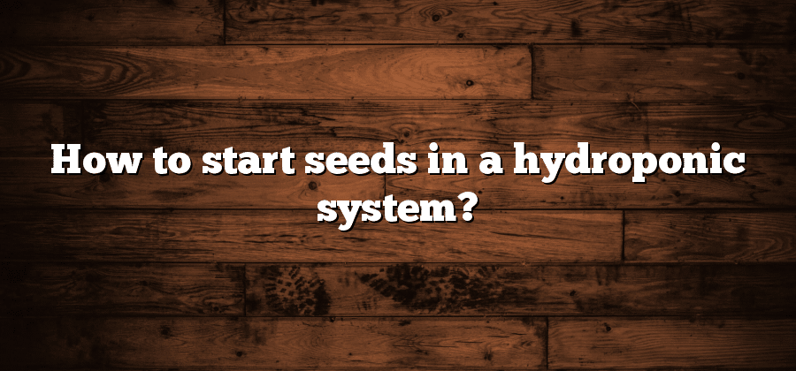 How to start seeds in a hydroponic system?
