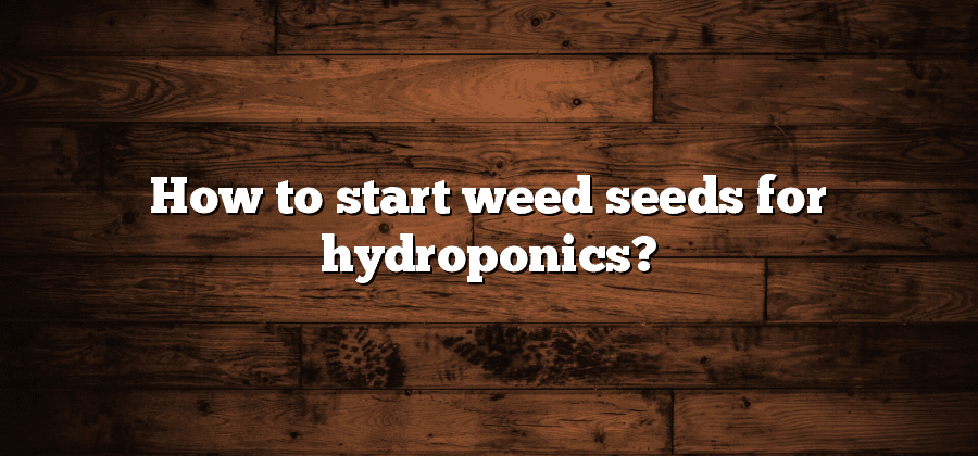 How to start weed seeds for hydroponics?
