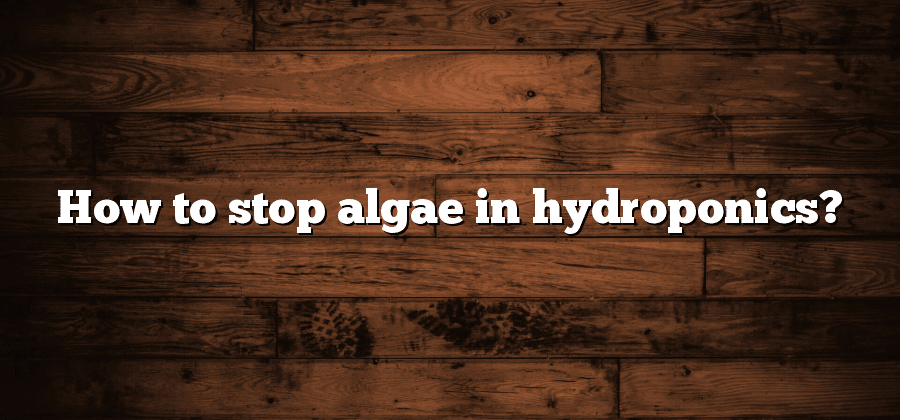 How to stop algae in hydroponics?