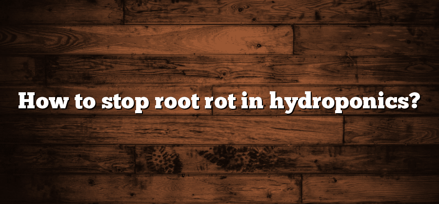 How to stop root rot in hydroponics?
