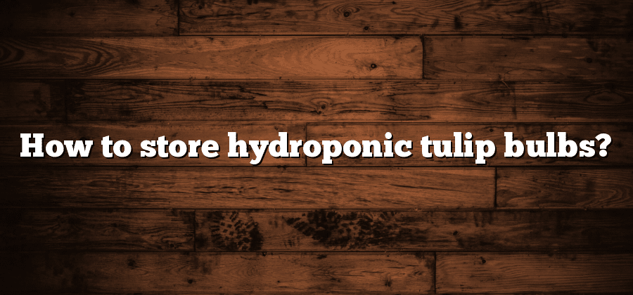 How to store hydroponic tulip bulbs?