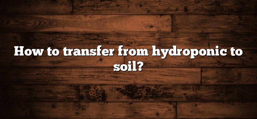 How to transfer from hydroponic to soil?