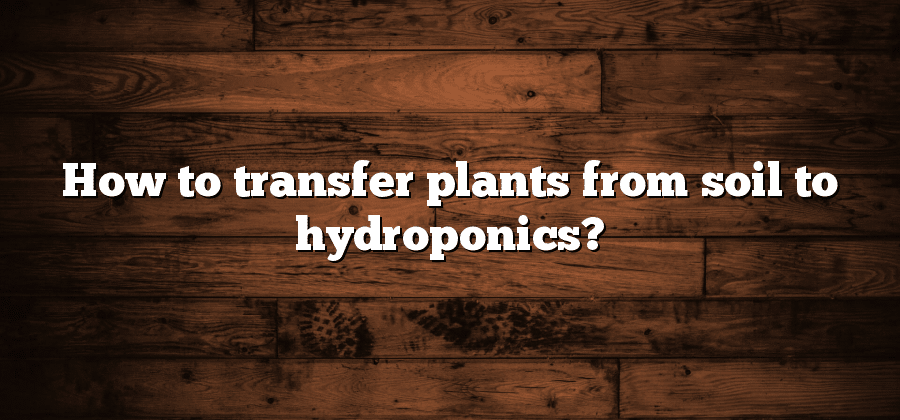 How to transfer plants from soil to hydroponics?