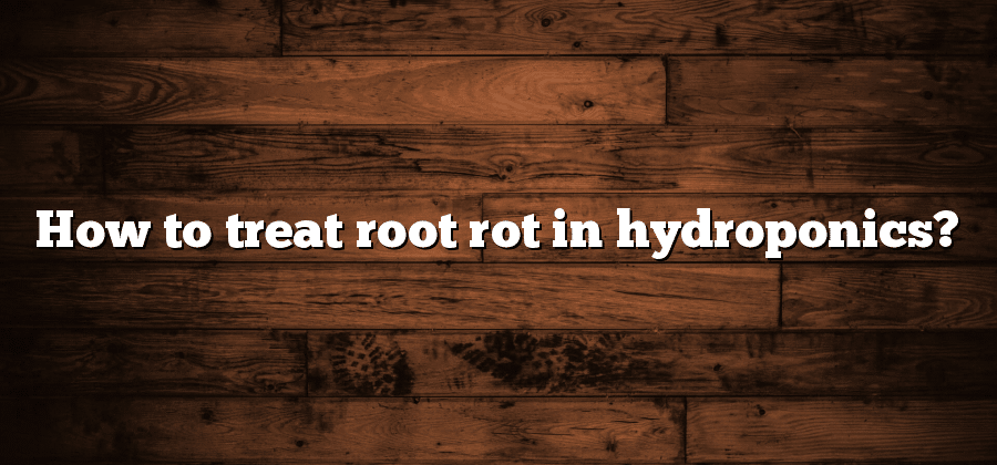 How to treat root rot in hydroponics?