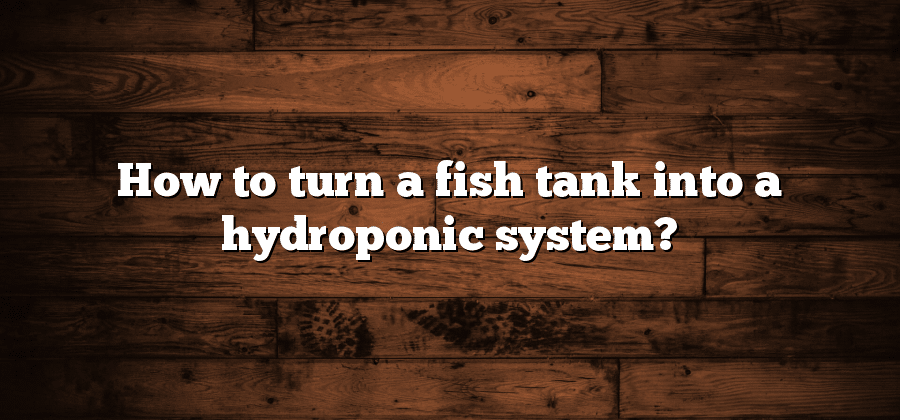 How to turn a fish tank into a hydroponic system?