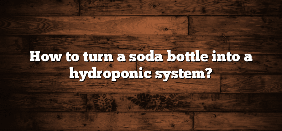 How to turn a soda bottle into a hydroponic system?