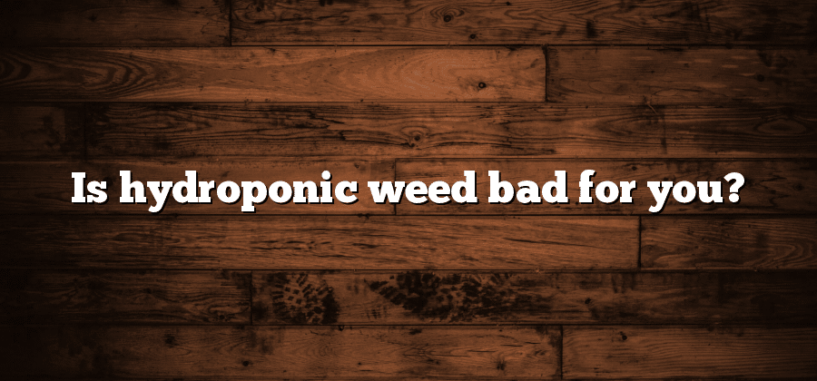 Is hydroponic weed bad for you?